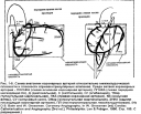Анестезиология в кардиохирургии Frederick A. Hensley et all. Глава 1 preview 3