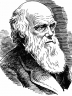 Лекция Теория эволюции Ч. Дарвина preview 3
