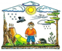 Программа экологического образования дошкольников «наш дом — природа» preview