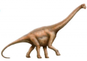 Тема: «Когда жили динозавры?» preview
