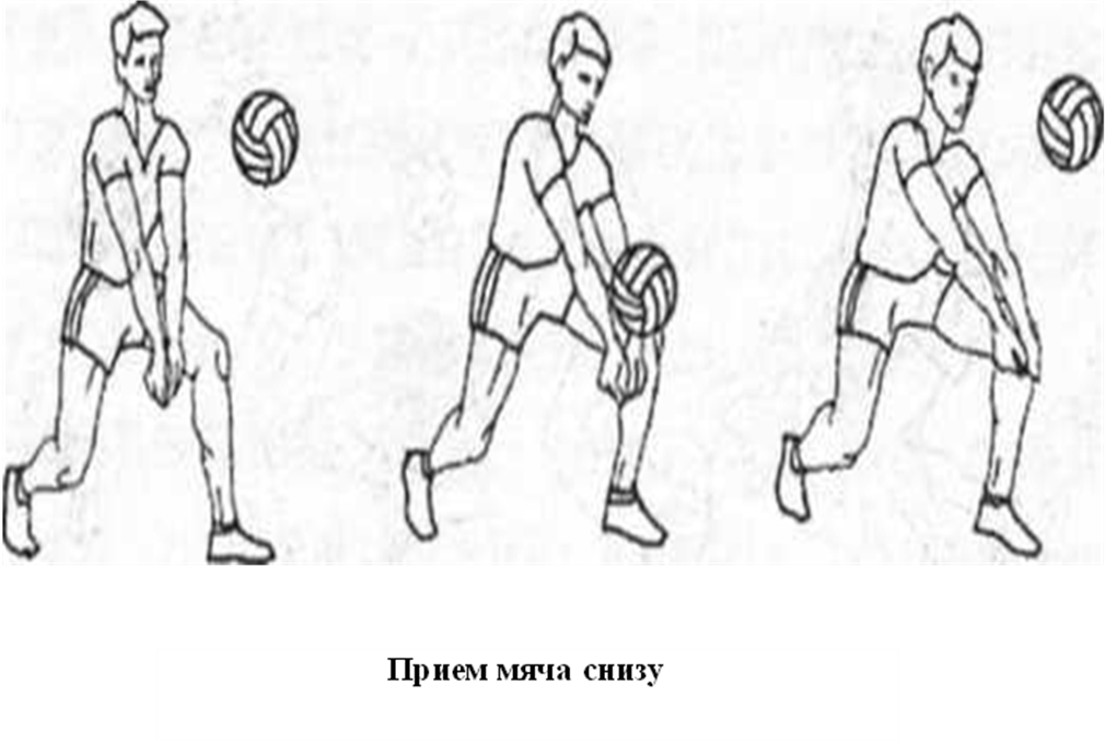 Прием мяча снизу прием подачи. Прием мяча снизу мяча в волейболе. Приём мяча снизу 2 руками в волейболе. Техника выполнения приема мяча снизу в волейболе. Техника выполнения передачи и приема мяча снизу.