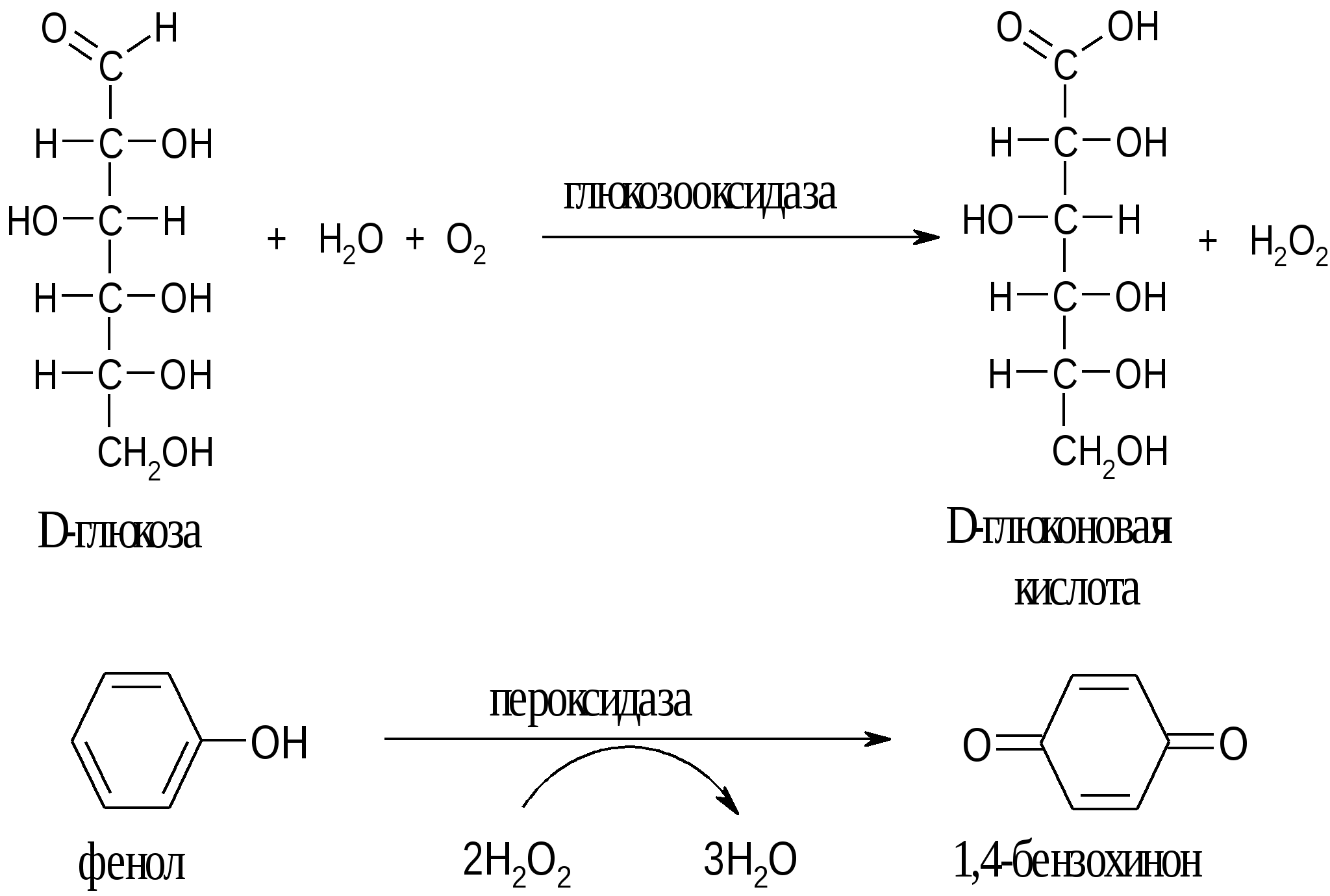 Глюкоза глюконовая кислота реакция. Глюкоза с фенолом. Реакции с пероксидазой. Глюкозооксидазный метод реакции. Пероксидаза реакция.