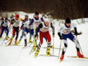 Реферат по предмету физическая культура Тема: «влияние лыжного спорта на развитие физических качеств» preview 1