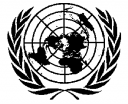 Организация объединенных наций preview