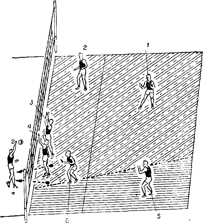 Атакующие зоны в волейболе